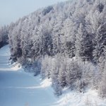 봄이 오는가 싶었는데 또 다시 차가워진 바람에 울고 있는 제 피부...