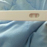 지겹겟지만 임신<b>여부</b>좀 부탁드립니다!