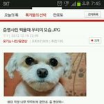 <b>증명</b>사진 찍을때 우리들의 모습
