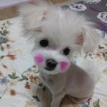 날왜이렇게 만들엇개. . . . .