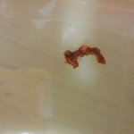 시켜먹은 묵은지에서 나온거.. 이게 뭐죠?ㅜㅜ(사진 有)