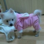 매력학과 졸업생 치치군!_