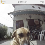 얼굴<b>평가</b>좀,jpg