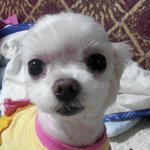 울짱이에 귀요미 사진들~~!!