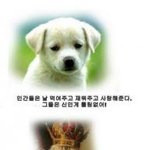 강아지와 고양이의 <b>멘탈</b>