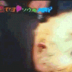 아미친ㅋㅋㅋㅋㅋㅋㅋㅋㅋ