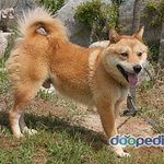 소hee <b>애미</b>