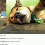 진짜 갖고싶은 직장동료12탄