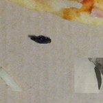 코스트코 피자에서 <b>쥐똥</b>이 나왔어요.
