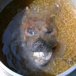 너무너무 귀여운 우리집 <b>멍뭉이</b>