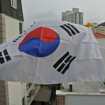 19)이거 <b>머</b>에요? 궁금해요..ㅜ