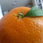 우리집화장실<b>문턱</b>진짜높아;;