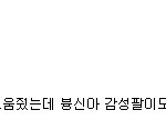 일베충들이 <b>애국</b>보수라고?ㅋㅋㅋㅋㅋㅋㅋㅋㅋㅋㅋㅋㅋㅋㅋㅋㅋㅋ