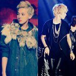 ◑◑은근히케미돋는<b>gd</b>와태민◑◑