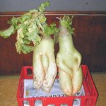 sex <b>with</b> me darling