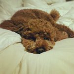 우리집 막내 남동생을 소개합니다*.*