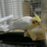 첫만남 그리고 이별...