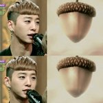 도토리 머리 귀여움
