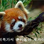 남우현내<b>꼬야</b>야~