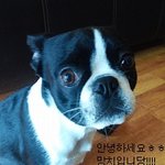 치명적인매력이 있는 <b>망치</b>소개드려요!^^