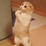 정~~~말 궁금해서 남자들께 물어봄 ㅡㅡ;