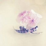 to. 더 이상 전할 수 없는 사람들에게