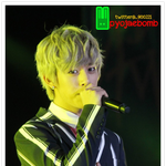 허<b>타스</b>야