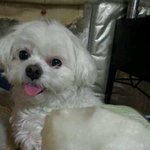 기다리는 자에게 <b>배신</b>뿐!