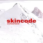 기초화장 설문조사