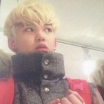 bap에 <b>젤로</b>?라는분 너무 못생긴듯..