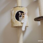 앙즈의 병상일지(유봉이네판)