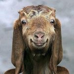 35} <b>증명</b>사진