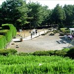 제주도여행<b>코스</b>추천 드리는 김녕미로공원