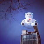 <b>yg</b> 건물 옥상에 뜬 이하이 love 곰돌이!