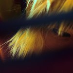 허영생 미니3집으로 컴백