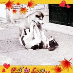 3월14일은 화이트데이(fight-<b>day</b>)