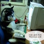 인간과 기계의 웃긴 대화