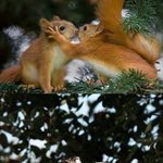 39} 엄빠미소 짓게 되는 키쓰 모음 <b>ii</b>