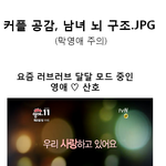 커플 공감, 결혼 앞둔 남녀 뇌<b>구조</b>.jpg