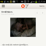 강아지를 찾습니다