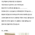 야 너네자꾸<b>팬코</b>하고싸우면