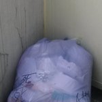 (사진있음,수정)베란다침입후 죽을 사 자써논 대학생들