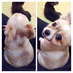 *.*다들 아직도 아기로 착각하는 울집<b>숙녀</b>들!