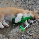 <b>싯팔</b> 오늘도 회식 없다...
