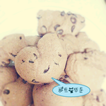 요리를 글로배운여자 (사진有)