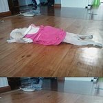 우리집상<b>전개</b>님들^-^2