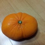 한국의 흔한 귤