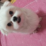 하나뿐인 <b>마리</b>