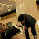 최고다 이순신 아이유 니킥.<b>gif</b>