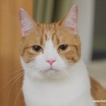 간식시간(유봉이네판)